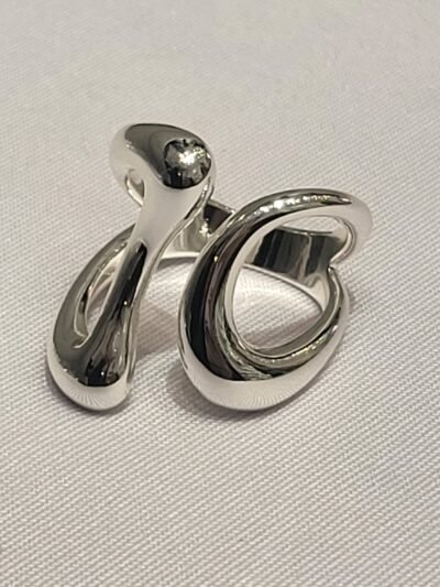 V25 04 Anillo Silecs